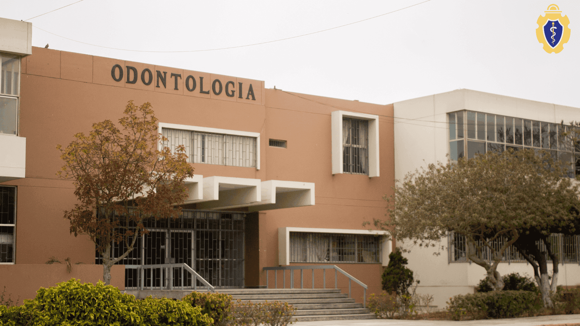 La Facultad de Odontología celebra su 82.° aniversario
